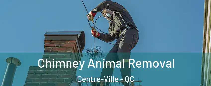 Chimney Animal Removal Centre-Ville - QC