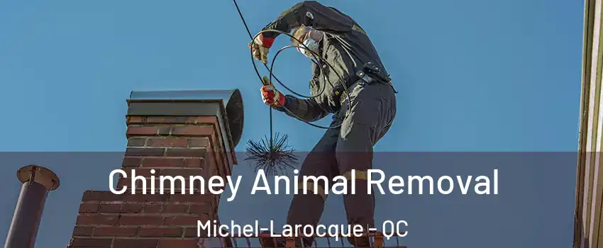 Chimney Animal Removal Michel-Larocque - QC