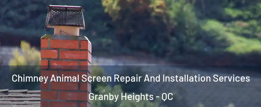  Chimney Animal Screen Repair And Installation Services Granby Heights - QC