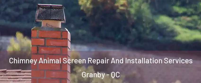  Chimney Animal Screen Repair And Installation Services Granby - QC