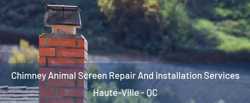  Chimney Animal Screen Repair And Installation Services Haute-Ville - QC