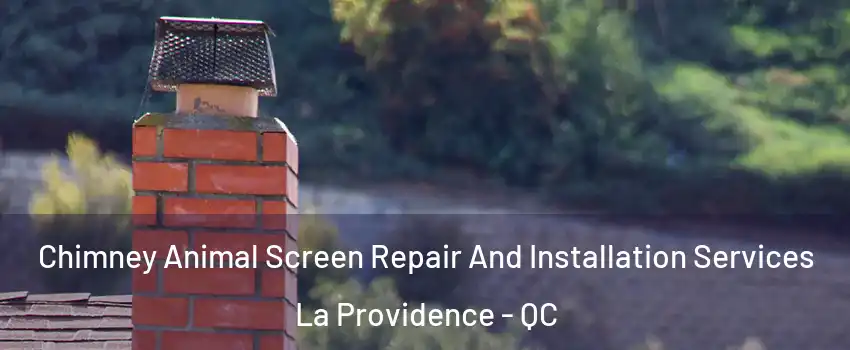  Chimney Animal Screen Repair And Installation Services La Providence - QC
