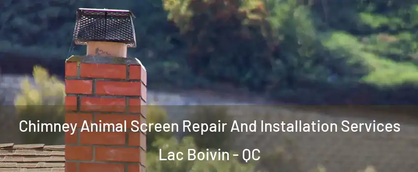  Chimney Animal Screen Repair And Installation Services Lac Boivin - QC