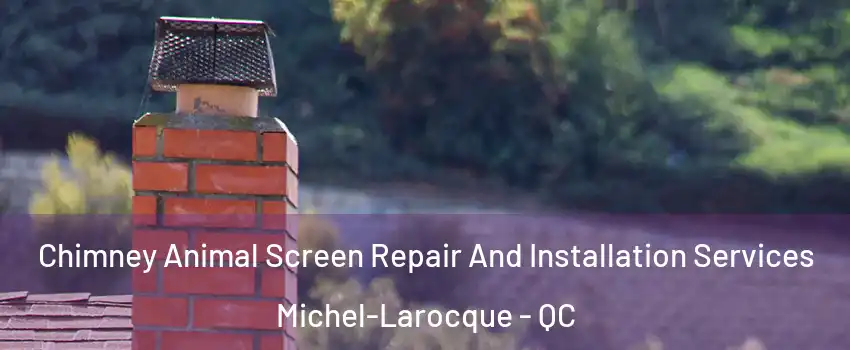  Chimney Animal Screen Repair And Installation Services Michel-Larocque - QC