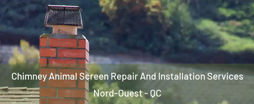  Chimney Animal Screen Repair And Installation Services Nord-Ouest - QC