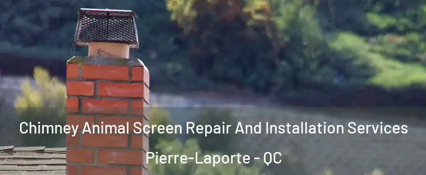  Chimney Animal Screen Repair And Installation Services Pierre-Laporte - QC