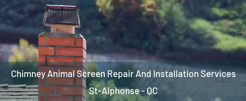  Chimney Animal Screen Repair And Installation Services St-Alphonse - QC