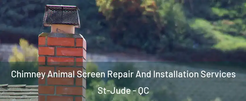  Chimney Animal Screen Repair And Installation Services St-Jude - QC