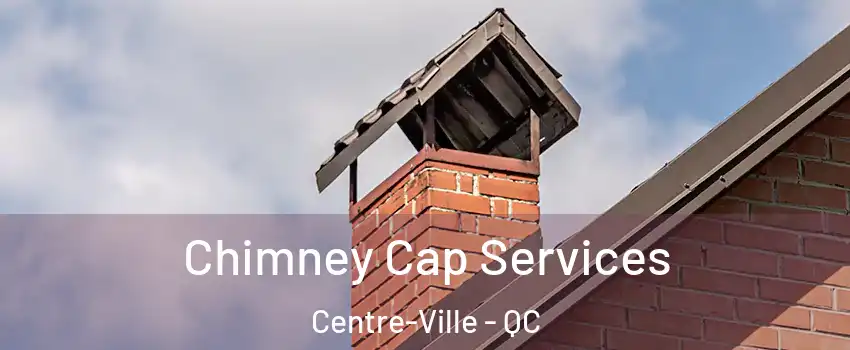  Chimney Cap Services Centre-Ville - QC