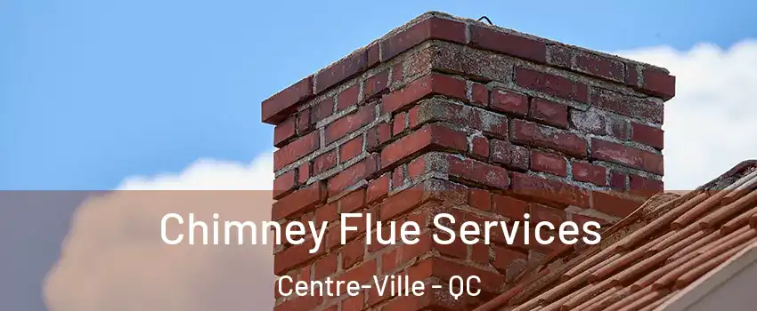  Chimney Flue Services Centre-Ville - QC