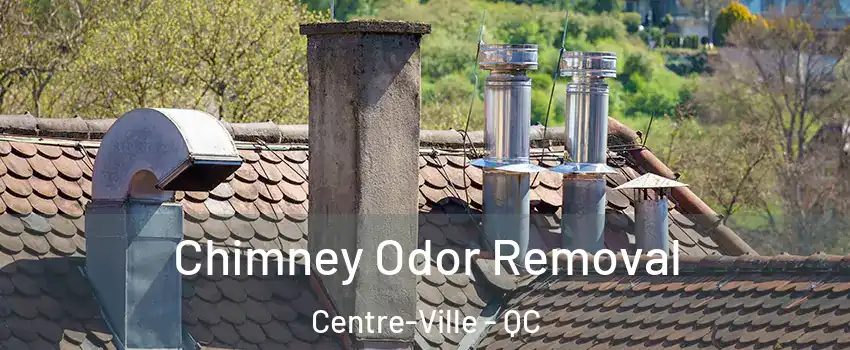  Chimney Odor Removal Centre-Ville - QC