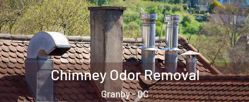  Chimney Odor Removal Granby - QC