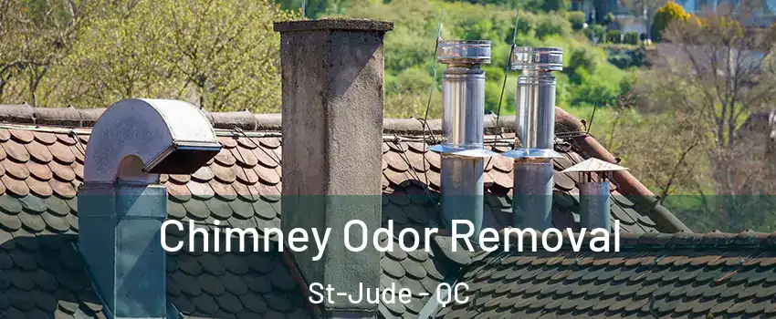  Chimney Odor Removal St-Jude - QC