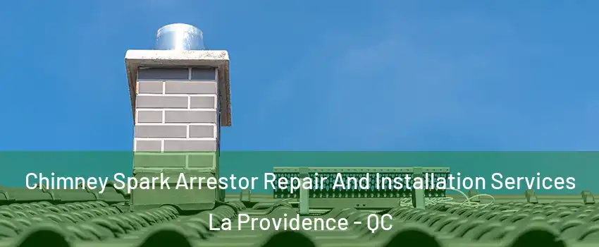  Chimney Spark Arrestor Repair And Installation Services La Providence - QC