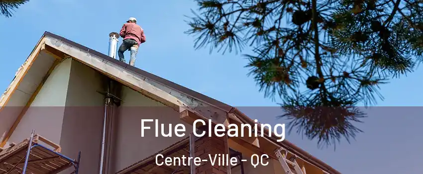  Flue Cleaning Centre-Ville - QC