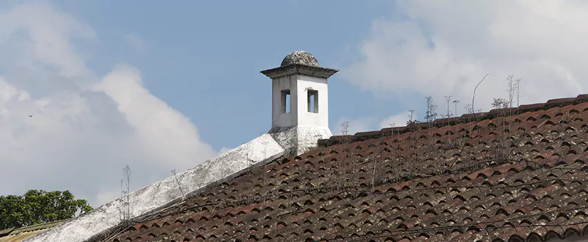 Wind-Resistant Chimney Caps Installation and Repair Services in La Providence, Quebec