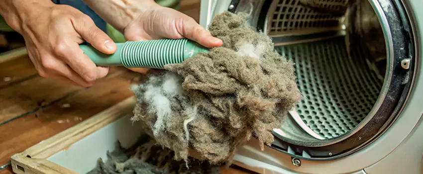 Best Dryer Lint Removal Company in La Providence, Quebec