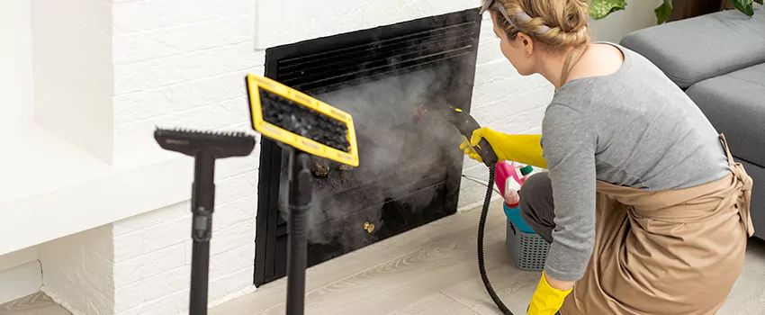 Fireplace Doors Cleaning in La Providence, Quebec