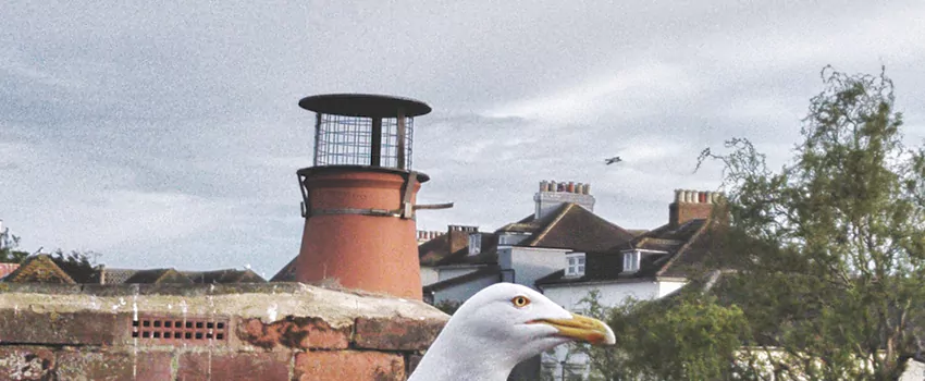 Chimney Cap Bird Guard Repair in La Providence, Quebec