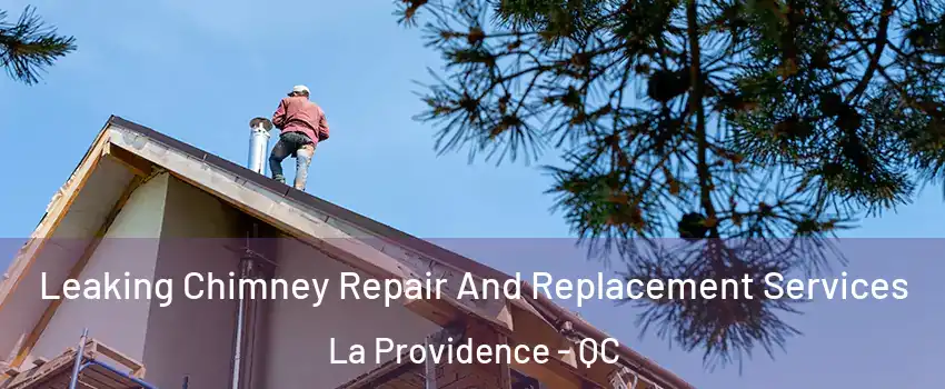  Leaking Chimney Repair And Replacement Services La Providence - QC