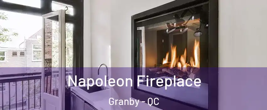  Napoleon Fireplace Granby - QC