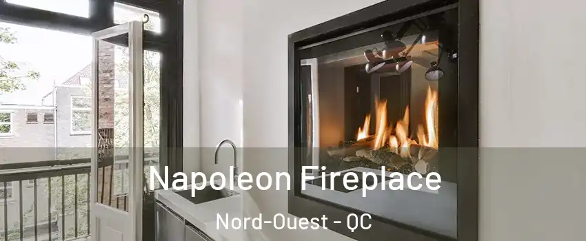  Napoleon Fireplace Nord-Ouest - QC